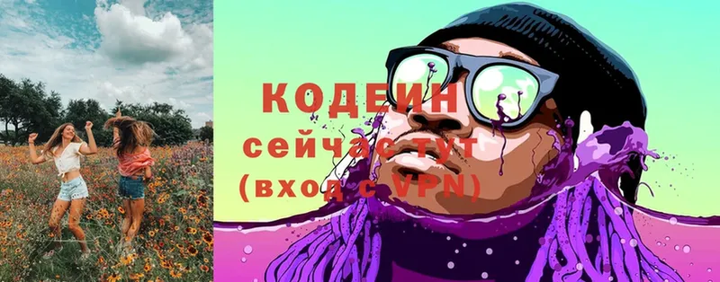 купить наркотики цена  Николаевск-на-Амуре  Кодеиновый сироп Lean Purple Drank 