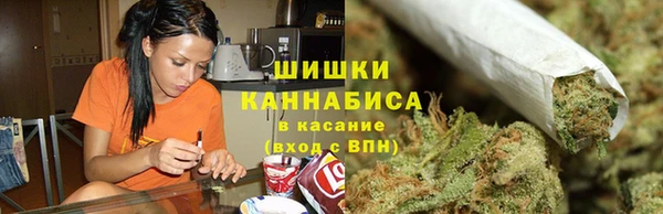 индика Верея